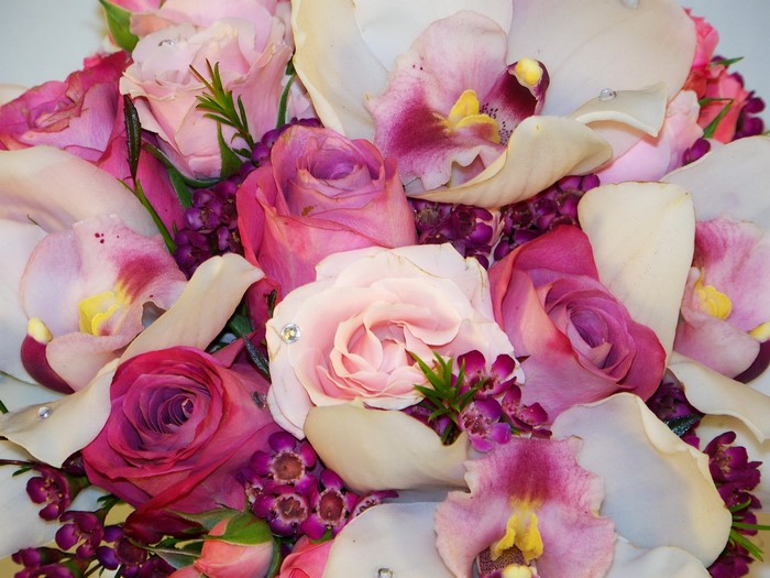 Pink and purple roses and orchids bouquet