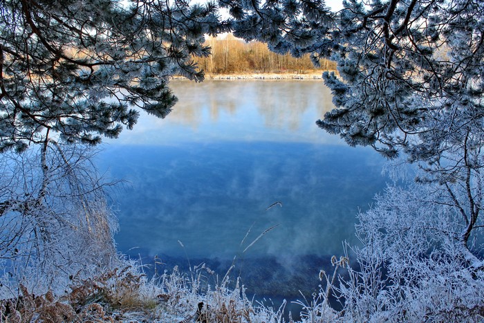 Winter scene with frosted trees and a misty river
