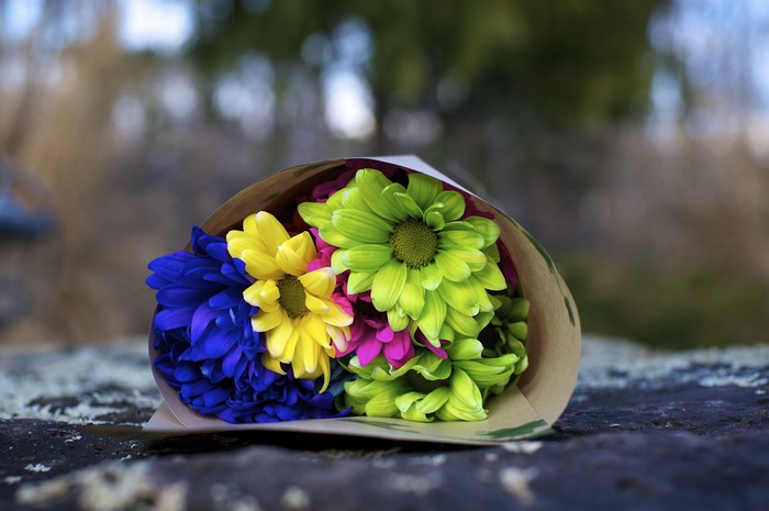 Bouquet of colorful daisies