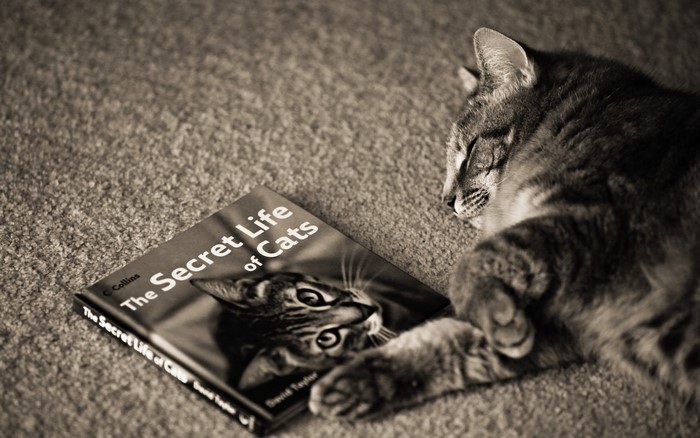 The Secret Life of Cats book with sleeping cat