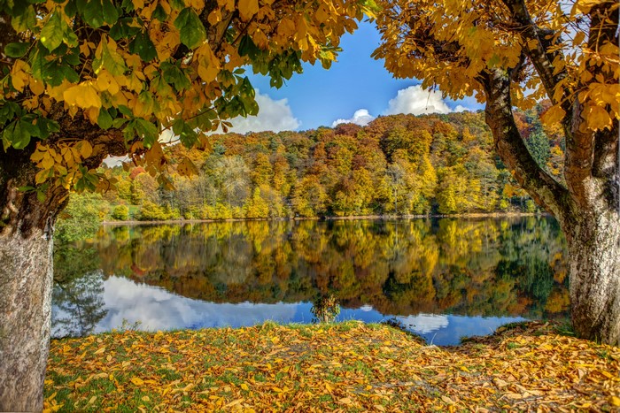 Autumn lake with colorful trees and reflections