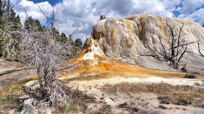 Yellowstone National Park, Wyoming, USA