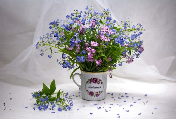 Bouquet of Forget-me-nots in a mug