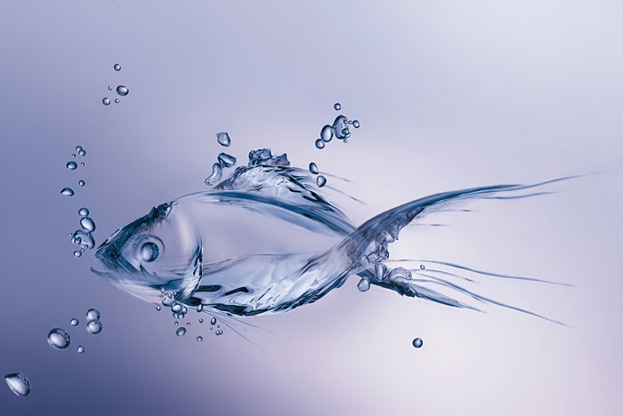 Fish made of water with bubbles