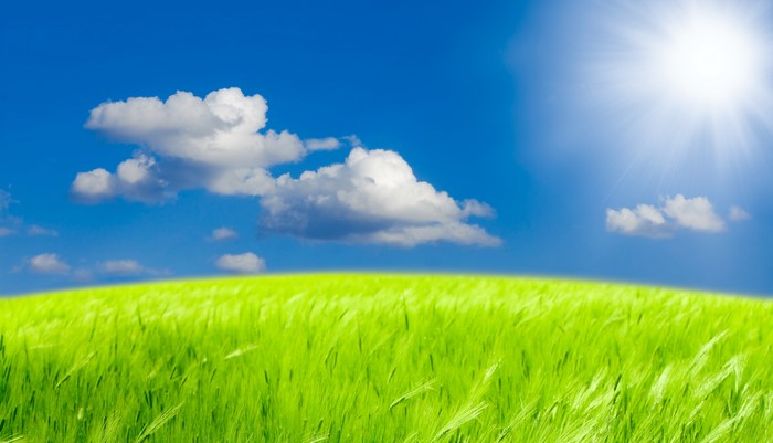 Green field under a blue sky with clouds and sun