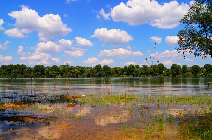 River landscape with trees and clouds in Serbia