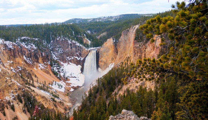 Lower Falls of the Yellowstone River in Yellowstone National Park