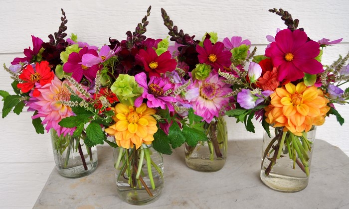 Colorful flower bouquets in glass jars