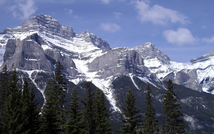 Snow-capped mountains with pine trees in the foreground