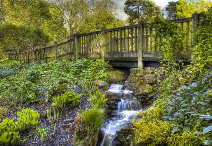 Wooden bridge over a stream in Golders Hill Park, London