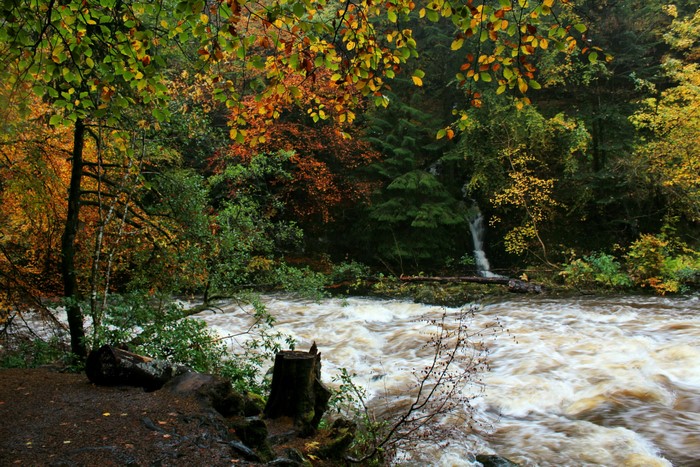 River flowing through an autumn forest with a small waterfall