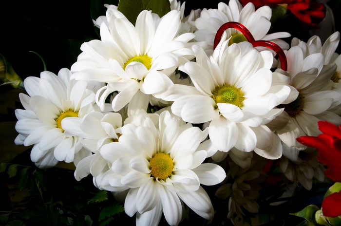 White Camomiles with Red Heart Decoration