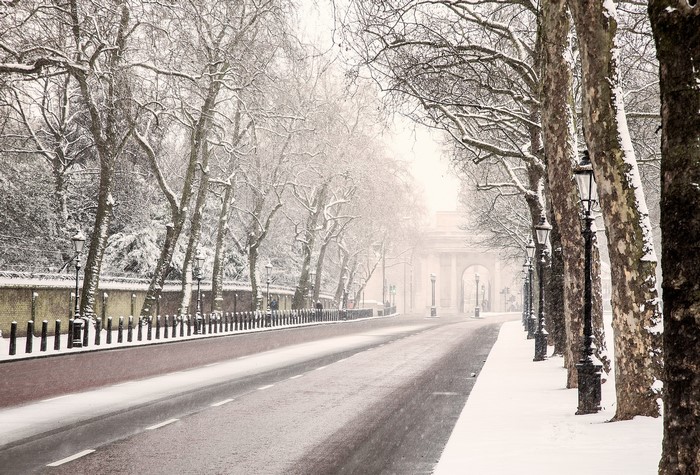 Snowy road lined with trees and lampposts leading to an archway