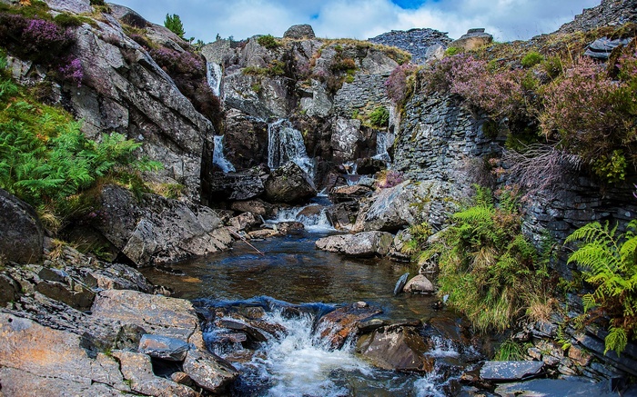 Rocky mountain stream with waterfalls and heather