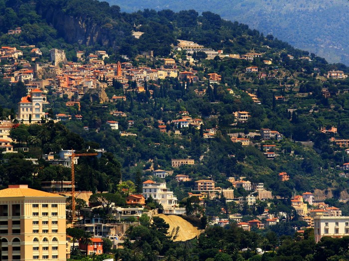 Hillside town with houses and trees