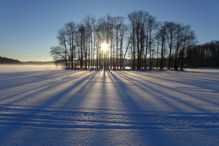 Winter landscape with sunbeams through trees