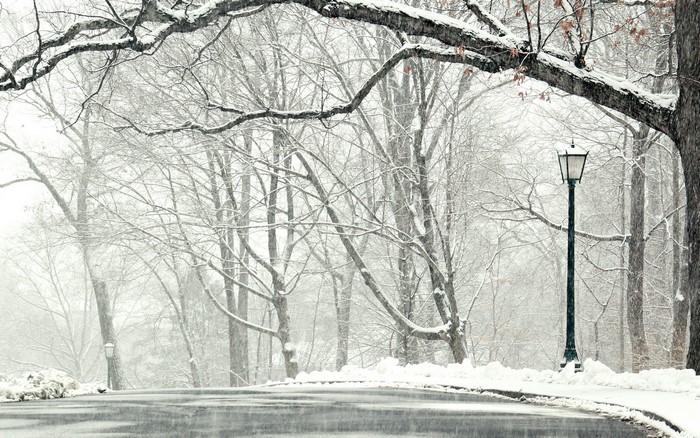 Snowy road with trees and a lamppost