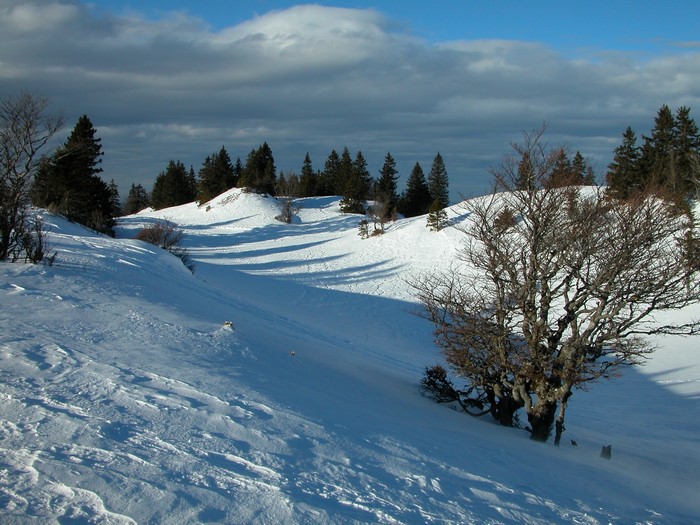 Snowy landscape in the French Alps