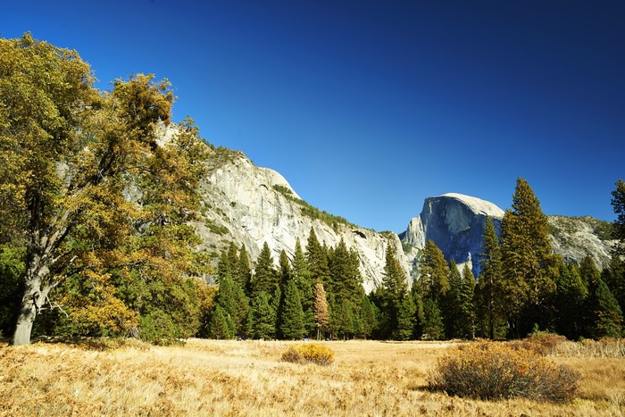 Yosemite National Park, California, USA