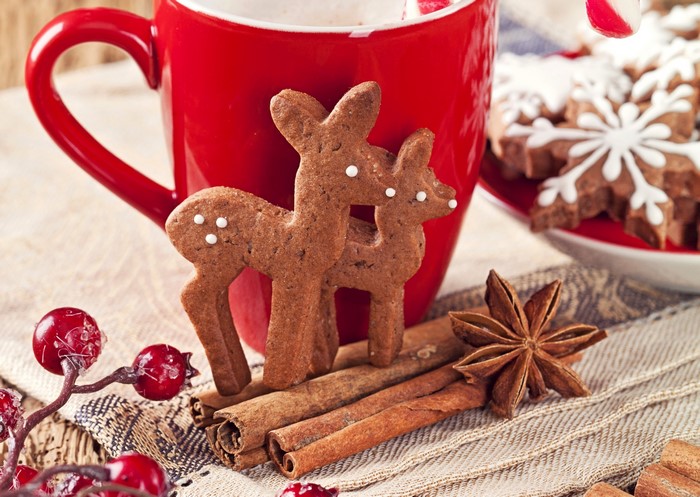 Christmas cookies with hot chocolate and cinnamon sticks