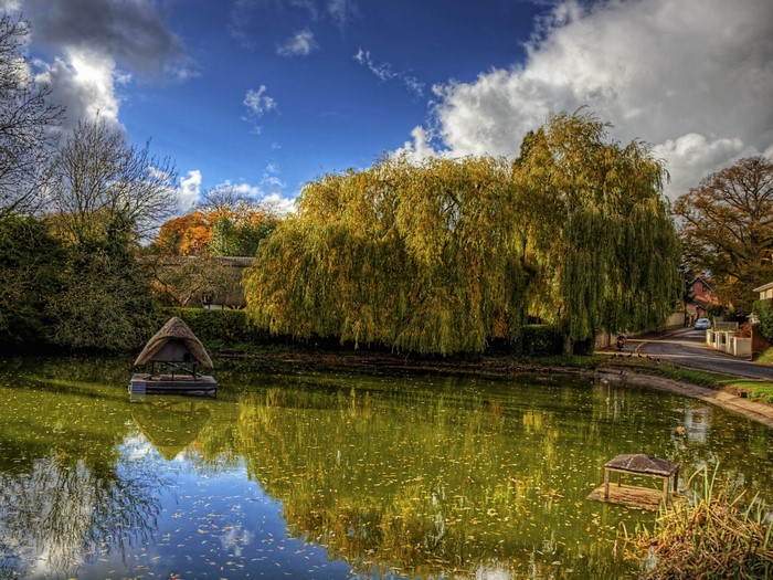 Pond with thatched hut and weeping willow tree in England