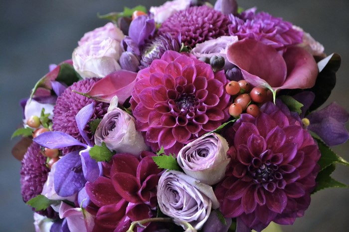 Purple and pink dahlias and roses bouquet