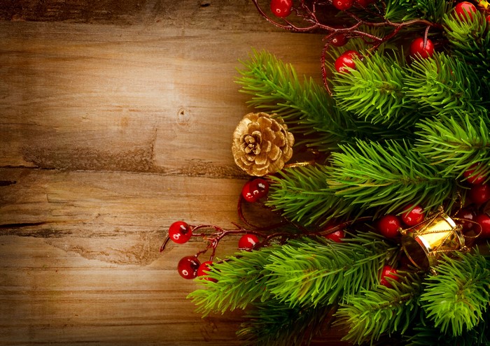 Christmas pine branches with red berries and pine cone