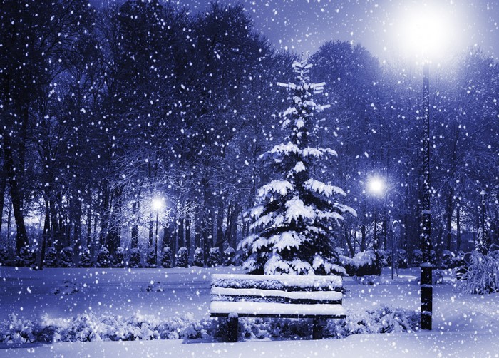 Winter park at night with snow falling