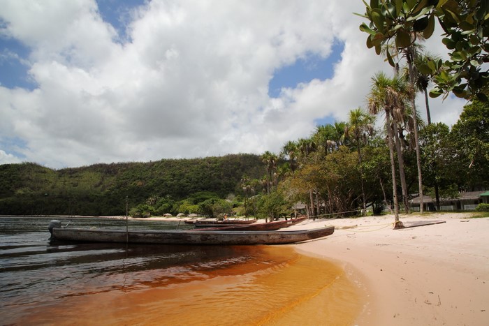 Canoes on a sandy beach with tropical vegetation