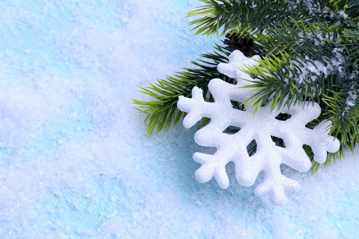 Christmas Snowflake and Pine Branch on Snow