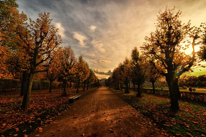 Autumn park avenue with trees and a building