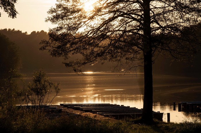 4K Menz Brandenburg Rivers Germany Trees