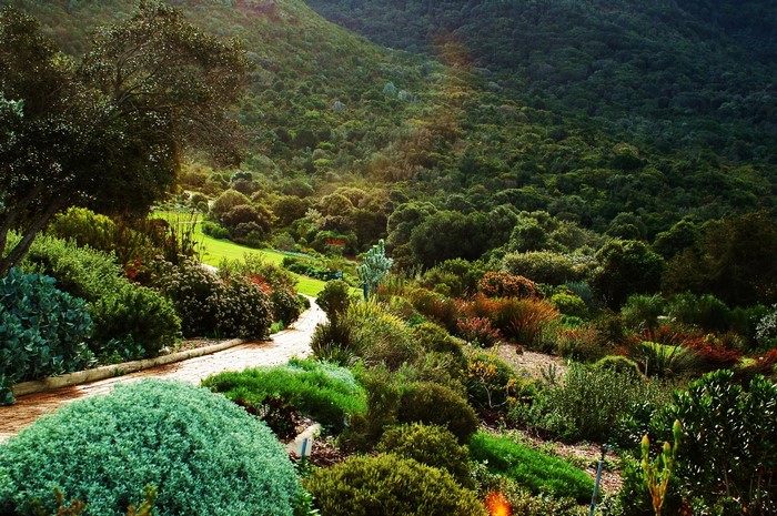 Kirstenbosch National Botanical Gardens, South Africa