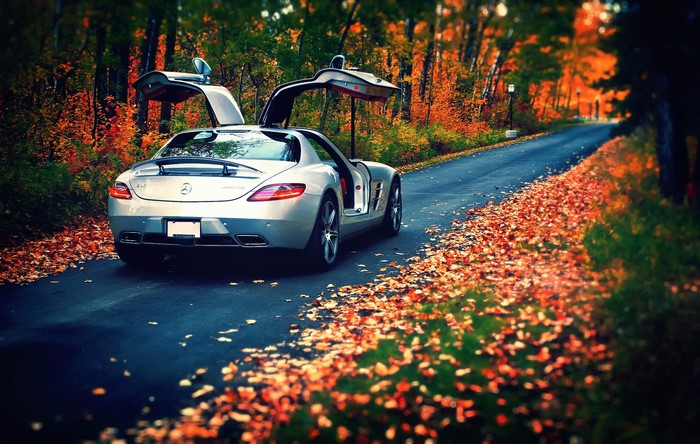 Mercedes-Benz SLS Gullwing car in Autumn forest