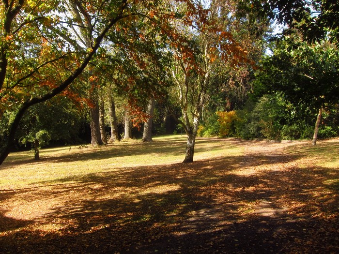Beale Arboretum Barnet Parks England