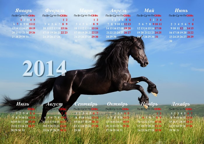 Black horse with 2014 calendar