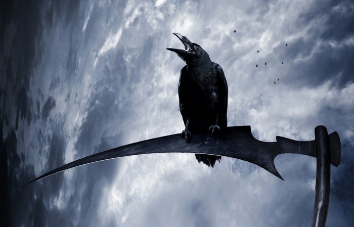 A crow sits on a scythe against a cloudy sky