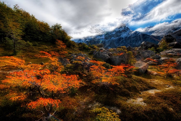 Autumn trees and rocky mountains in Patagonia, Chile