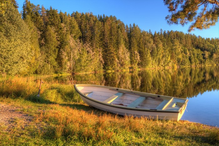 A rowboat rests on the grassy shore of a lake with a forest in the background.