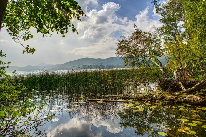 Lake with reeds and hills in Nickenich, Germany