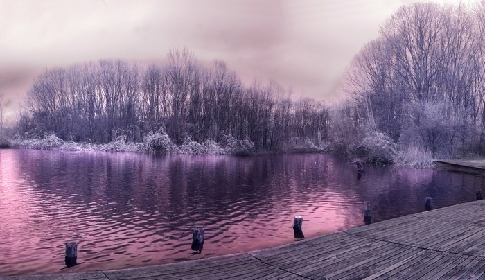 Winter lake with bare trees and wooden pier