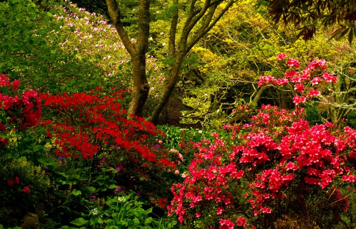 Wellington Botanical Gardens, New Zealand