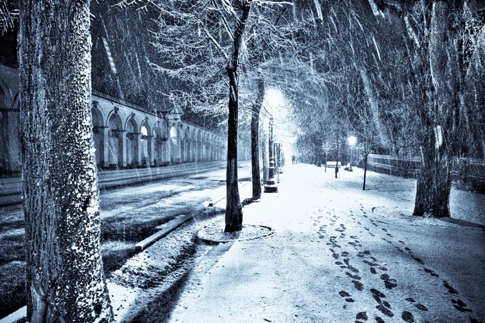 Snowy Avenue at Night with Footprints