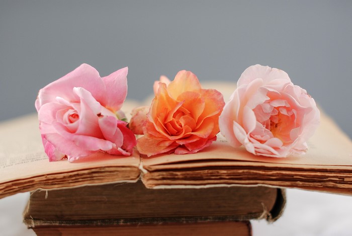Three roses on an open book