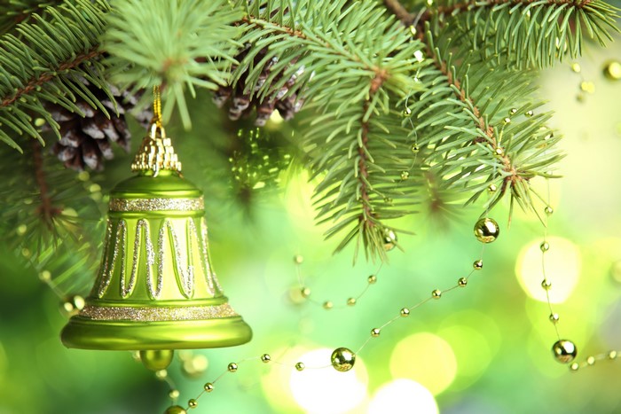 Christmas Ornament on Pine Branch