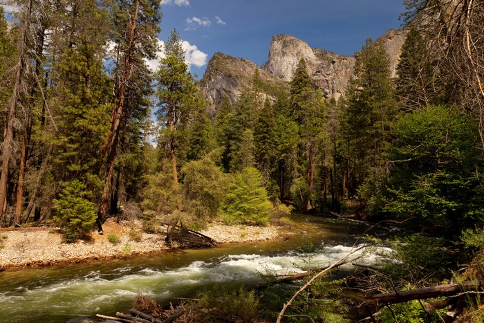 4K Yosemite National Park California USA