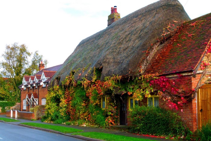 Thatched roof cottages with autumn foliage