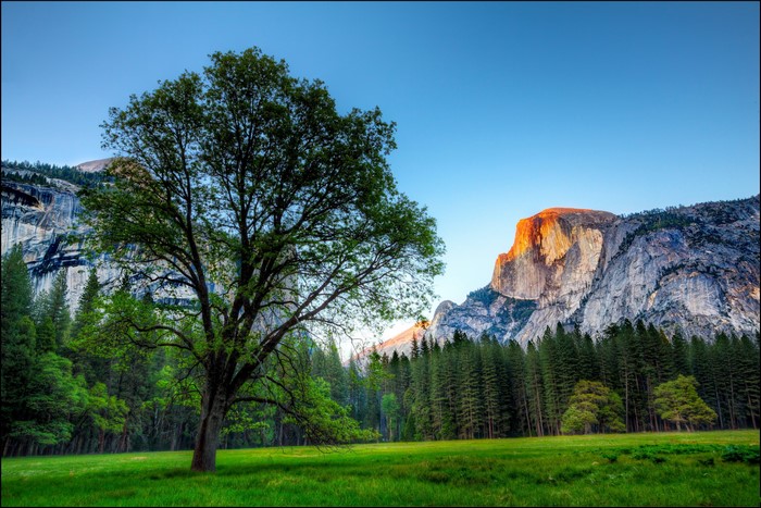 Yosemite National Park with Half Dome at Sunrise