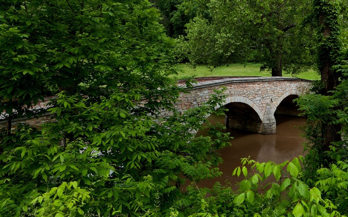 Stone bridge over a river surrounded by trees