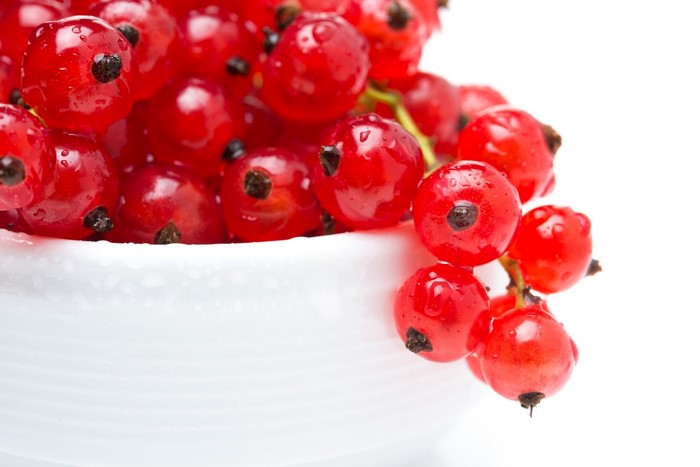 Red currants in a white bowl